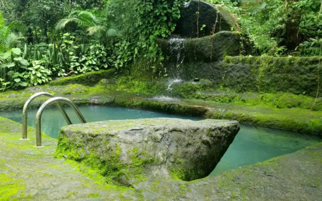 Jungle Retreat Wayanad