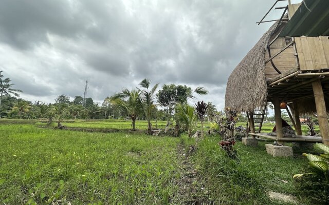 Tiny ECO Bamboo Ubud