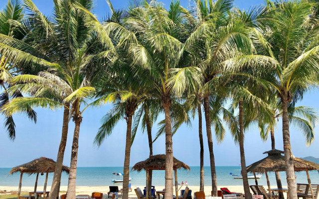 Dolphin Bay Beach Resort