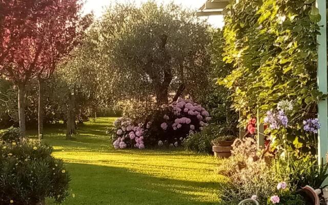 Vecchio Casale Margherita