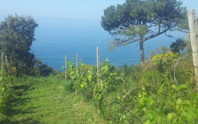 Apartment CAMERE CINQUE TERRE ANDREA