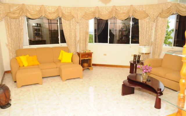 Hillside Ocean View Villa