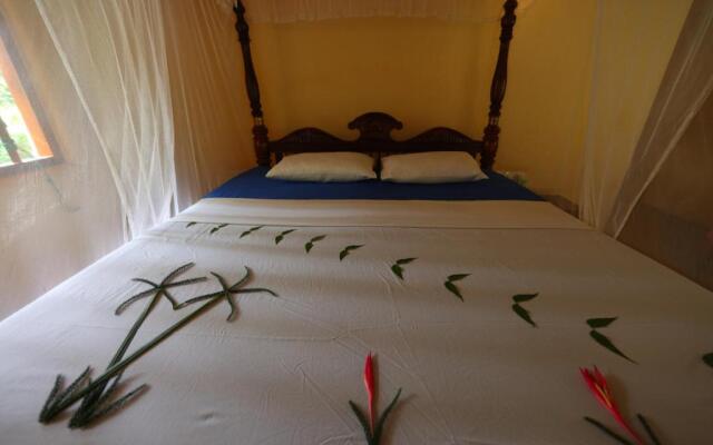 Mangrove Beach Cabana