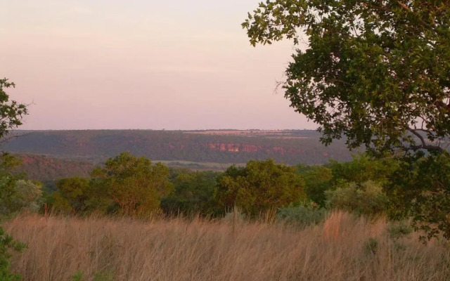 Five Pebbles on Piece of Africa