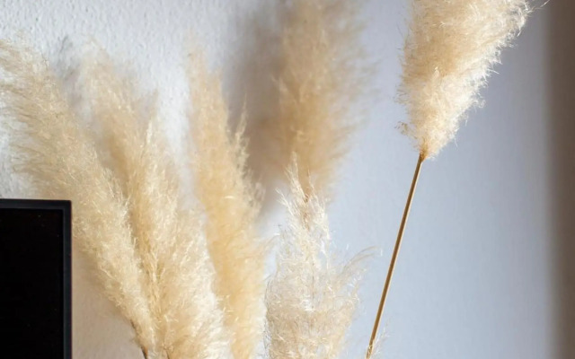 Rincón de Bruno y Duque