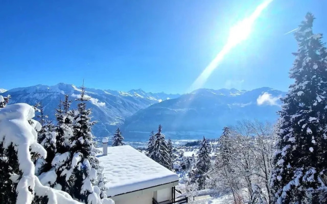 Vue imprenable sur les Alpes