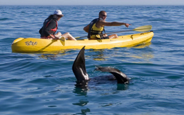 Catlins Newhaven Holiday Park