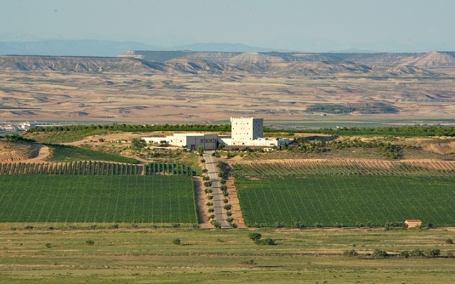 Chateau Pago De Cirsus