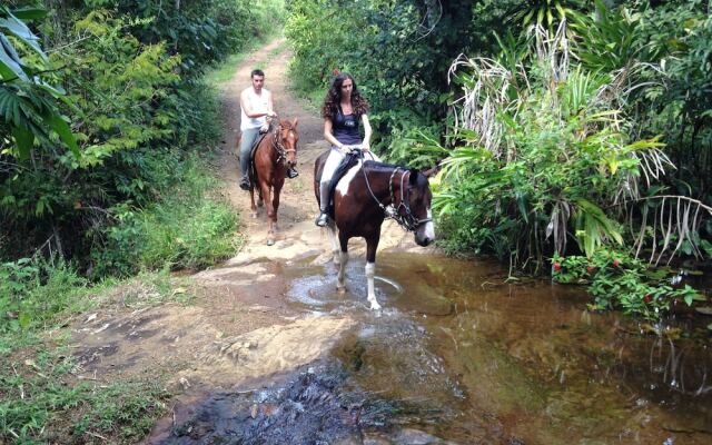 Itacaré EcoRanch