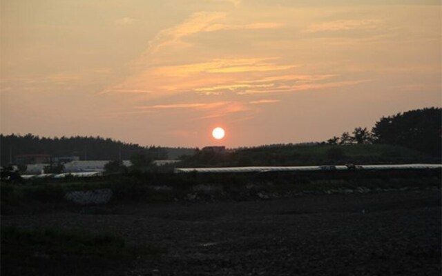 Daebudo Nare Pension