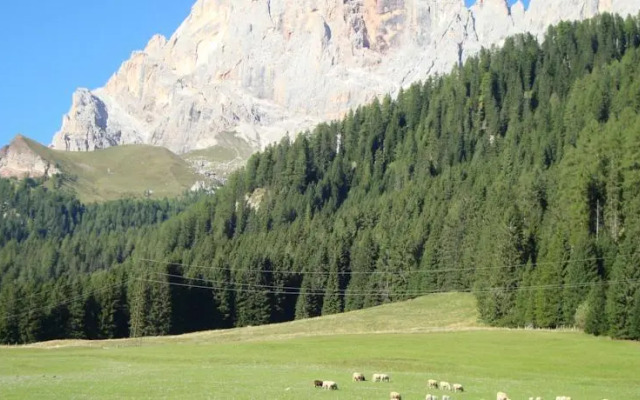 Hotel Maso Col