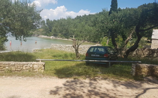 House Cvitina
