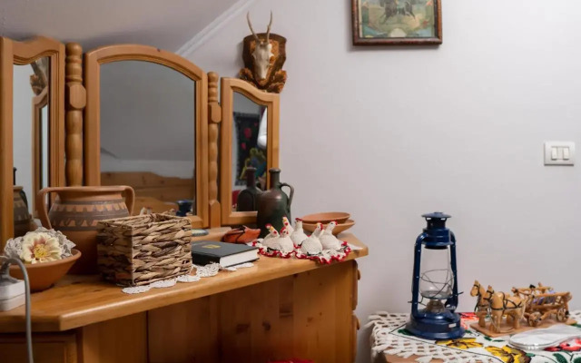 Pensiunea Lido Moisei