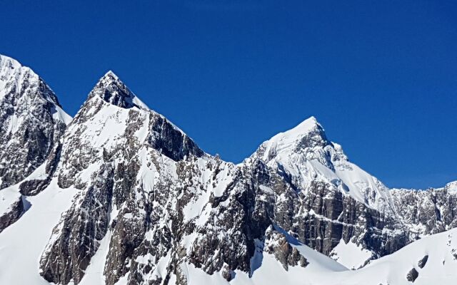 Franz Alpine Retreat