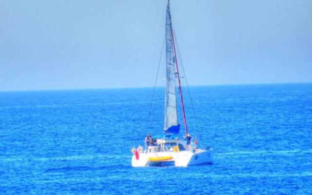 Rosa Nautica 301
