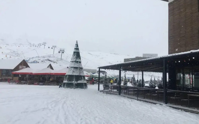 Impeccable 1-bed Apartment in Gudauri