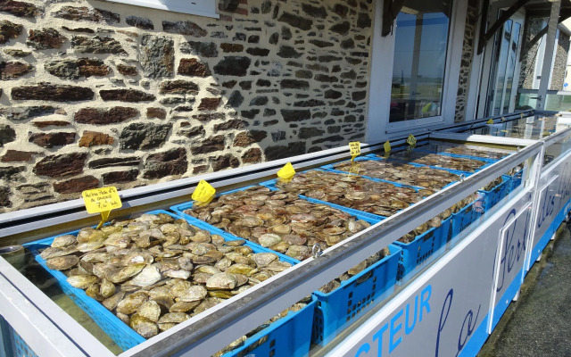 Comfortable Holiday Home 50 m From the sea