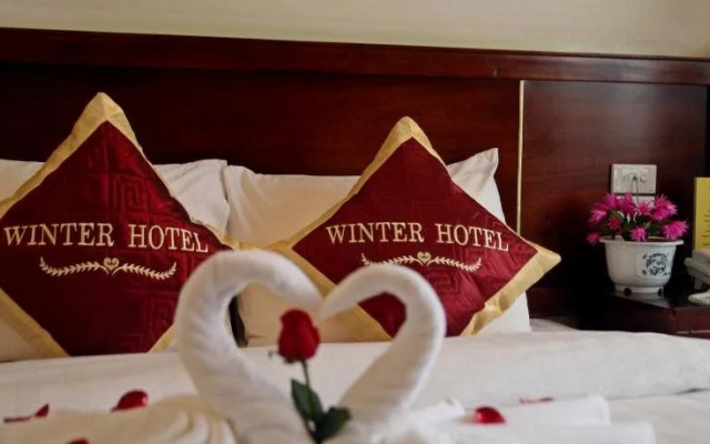 Sa Pa Winter Hotel
