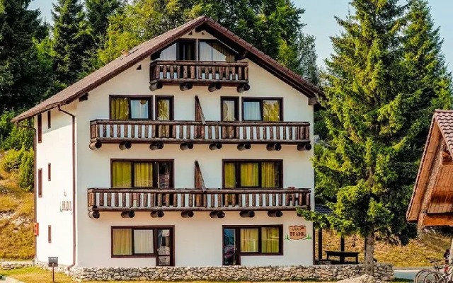 Vila Bradul - Complex Cheile Gradistei