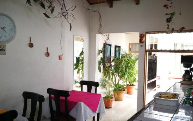 Hotel Hojarascas