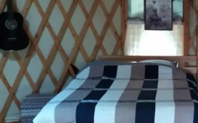 Yurt Located in a Little oak Grove