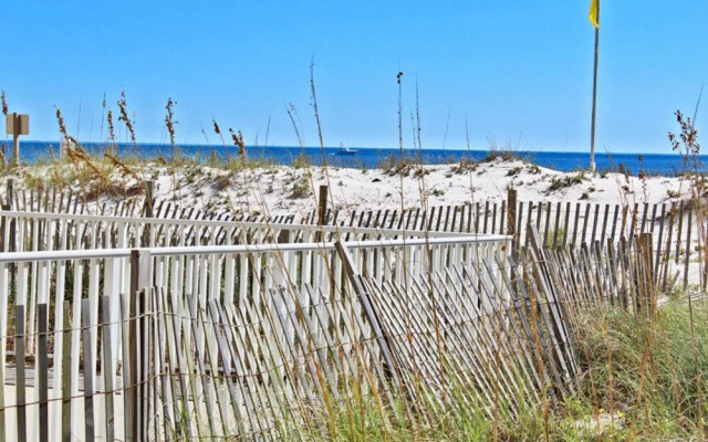 Whaler by Youngs Suncoast