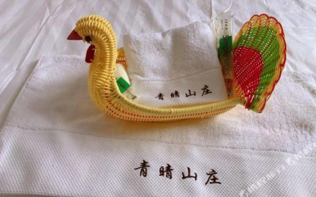 Qingqing Villa (Beijing Qidu Store)