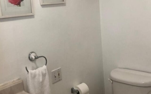 Comfy Studio Suite