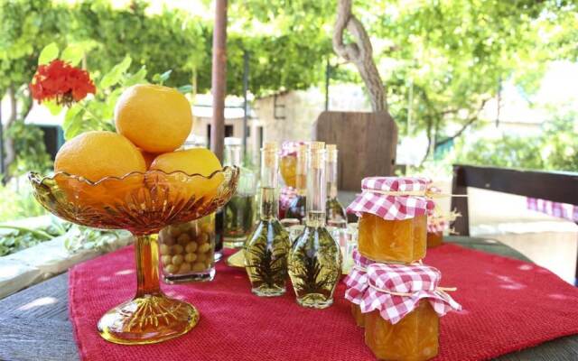 Guest House Savonari