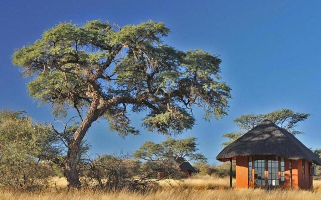 Camelthorn Kalahari Lodge