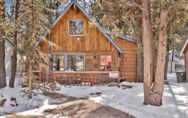 THE Bear Bauhaus #2106