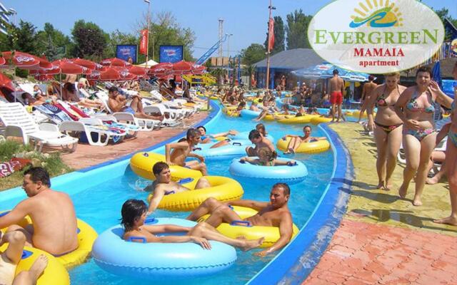 Evergreen Vlas Mamaia