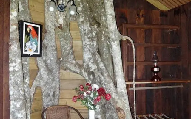 Lupe Sina Treesort
