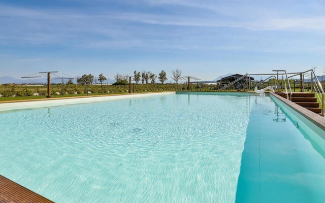 I Giardini Dell Olimpo - Atena
