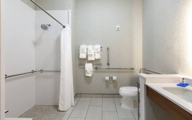 Holiday Inn Express & Suites Greenville S - Piedmont
