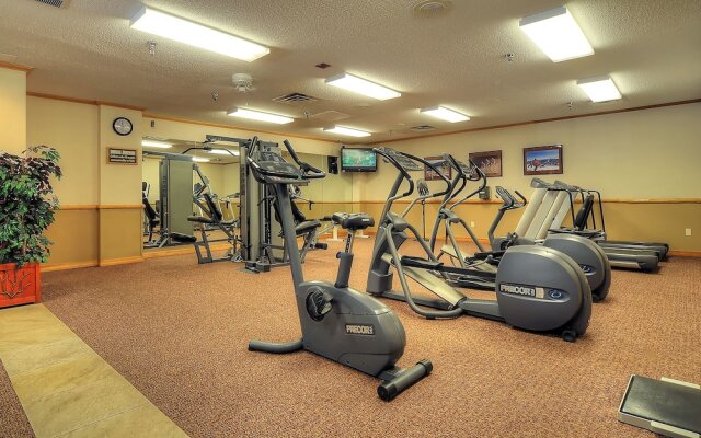 Skier's Choice Studio