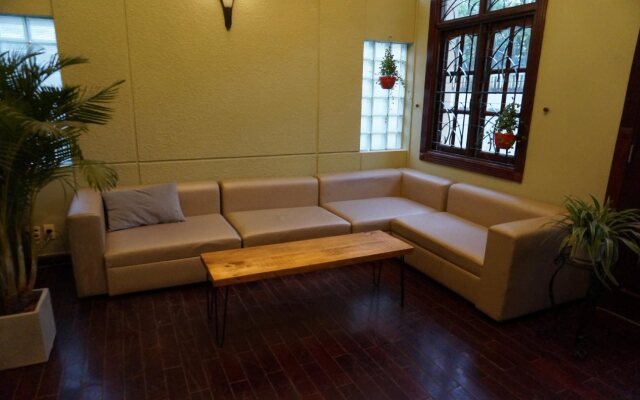 Leiden Homestay & Cafe