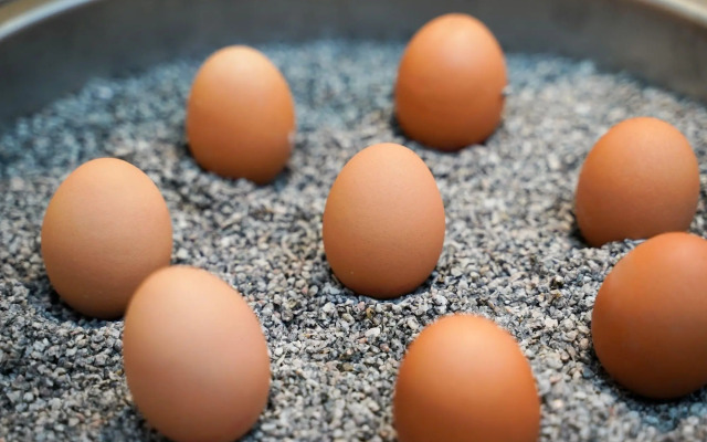 Citadines South Vienna