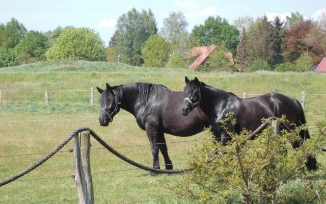 Ferienwohnung-Kribitz-Hodenhagen