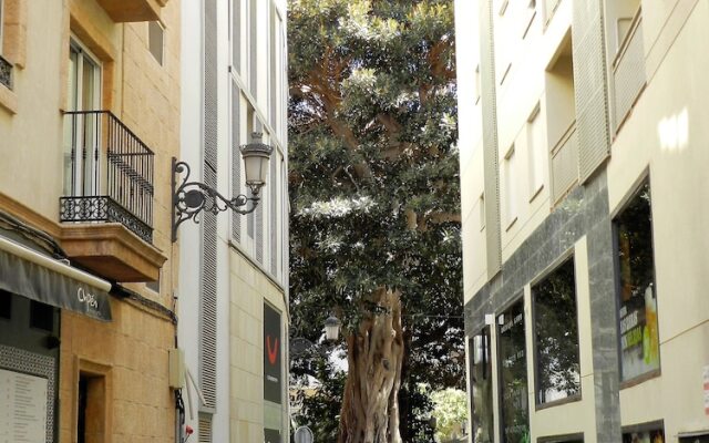 Apartamento CasaTuris San Francisco