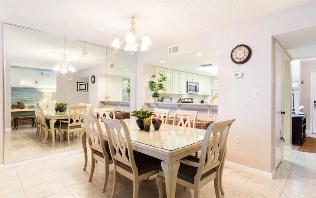 Barefoot Trace by Vtrips