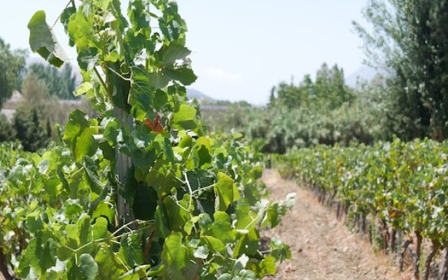 La Perla Blanca - Ronda