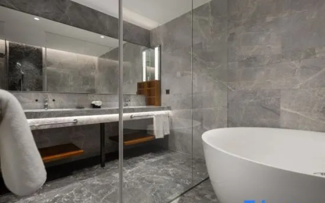 Zhu Zhou Little swan deiss hotel