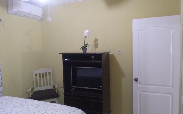 Cozy Deluxe 2BR Condo New Kingston