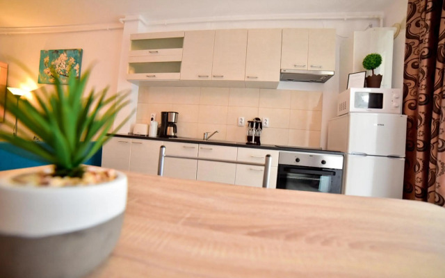 Apartament Central Silva