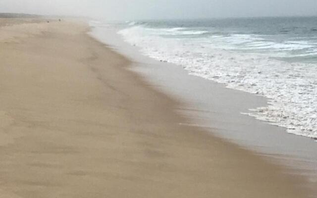 Comporta Natura & Beach