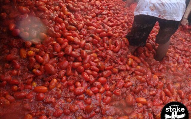 La Tomatina Festival