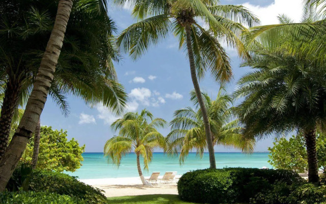 Caribbean Club Luxury Condo Hotel