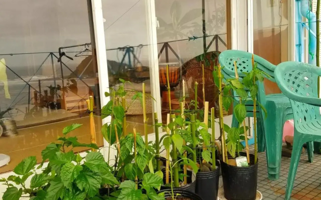 Ocean Home Guest House