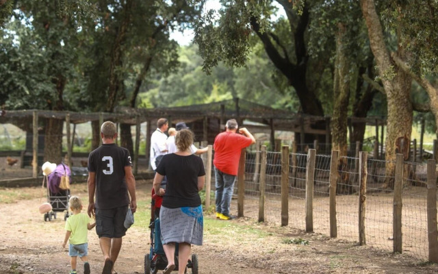 Le Rendez-vous de l'Été